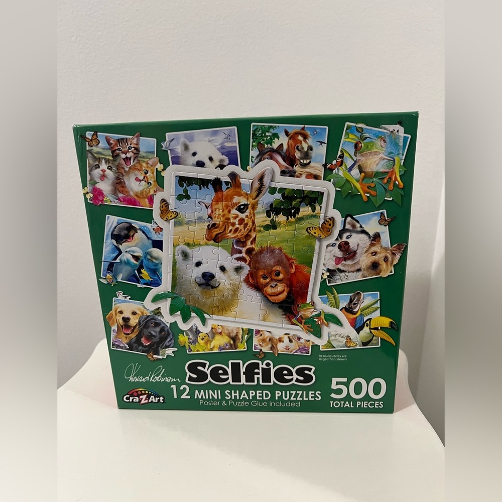 Set Disney Family Feud and Selfies Puzzle Set - Blue and Green - Picture 5 of 7